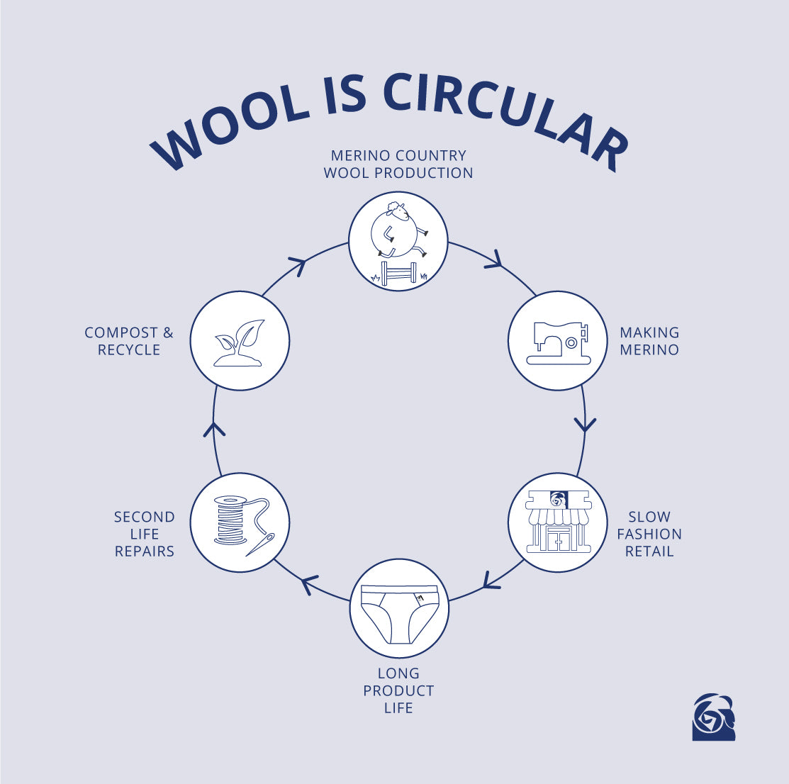 Merino Wool a Naturally Circular Fibre - Circular Economy