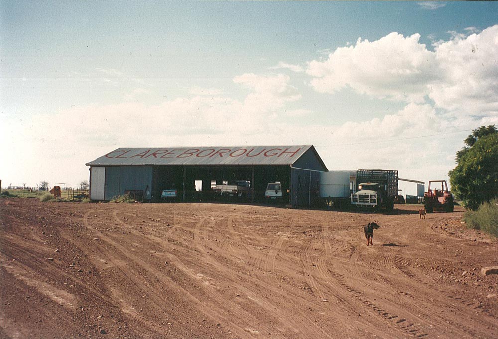 Merino Country Story