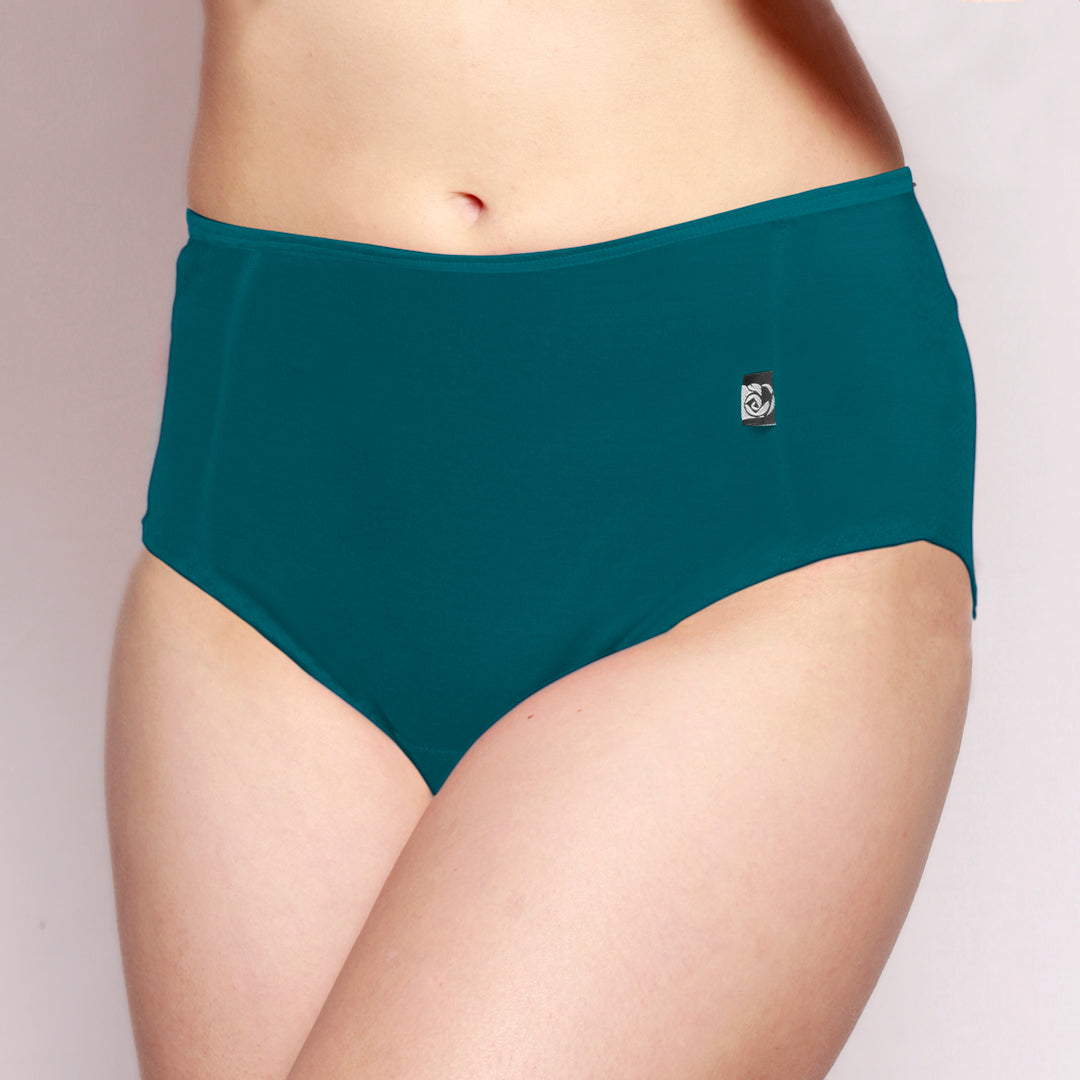 Merino Panel Full Brief Teal